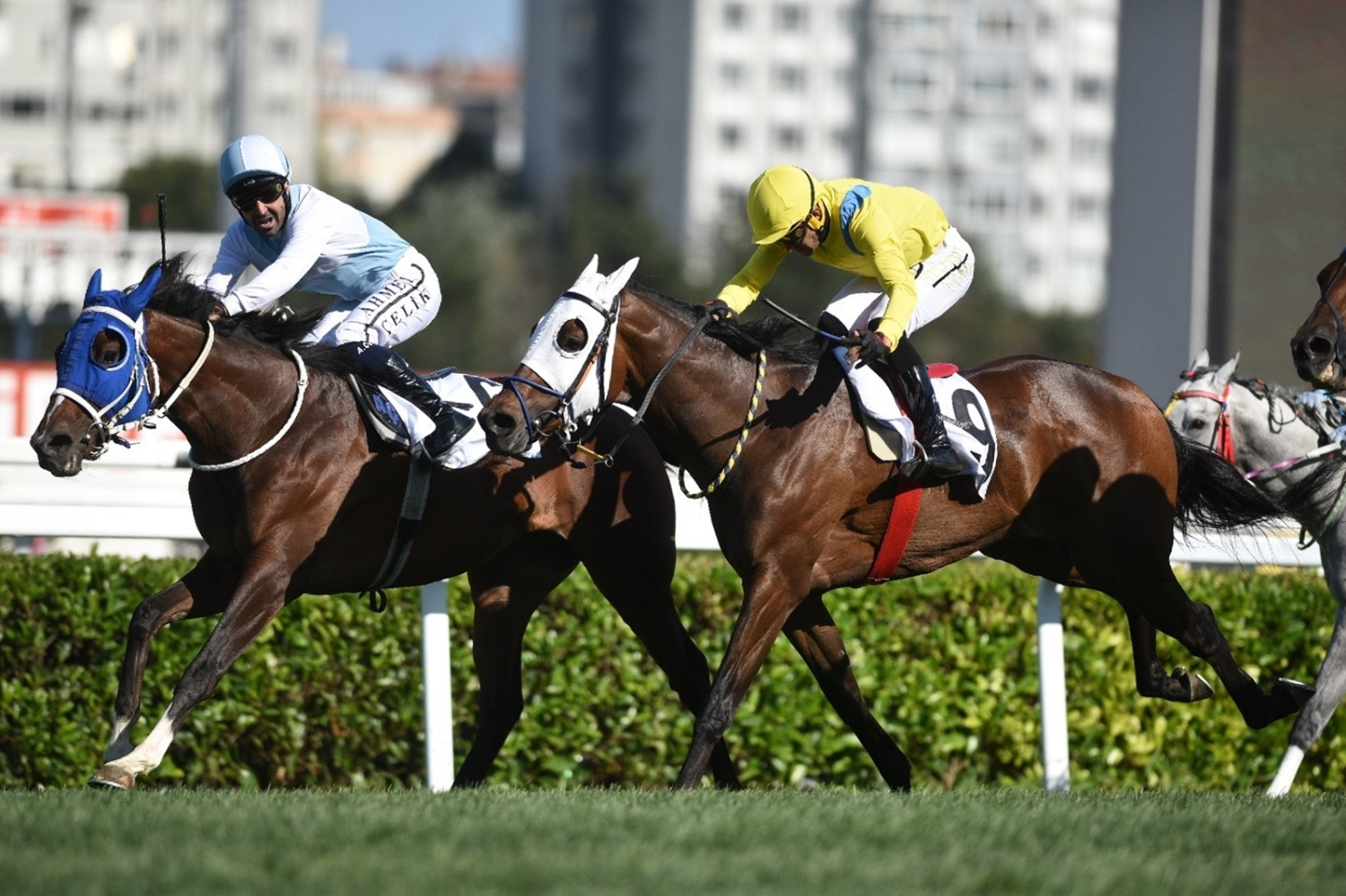 99'uncu Gazi Koşusu'nun kazananı belli oldu